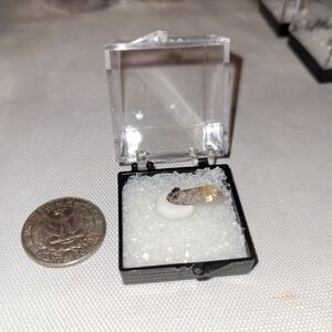 Searle Canyon Red Beryl Mine Champagne Topaz with Big Bixbyite in Specimen Box
